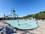 2731 House Finch Road - Photo 87