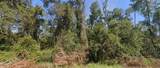 TBD Nw Suwannee Valley Road - Photo 1