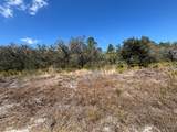 1006 Palm Avenue - Photo 1