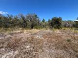 1006 Palm Avenue - Photo 4