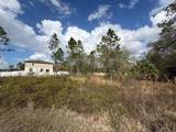 202 Spoonbill Drive - Photo 6
