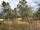 202 Spoonbill Drive - Photo 8
