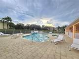 17340 Blessing Drive - Photo 53