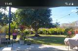 8509 Lyonia Drive - Photo 43