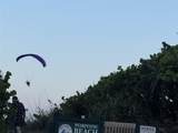  Coral Circle - Photo 14