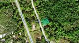 1554 Marlin Drive - Photo 1