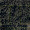 11939 Wildflower Street - Photo 4