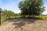 3591 Canoe Creek Road - Photo 38