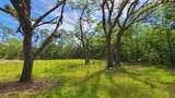 1013 Cupid Avenue - Photo 15