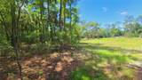 1013 Cupid Avenue - Photo 34