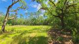 1013 Cupid Avenue - Photo 44