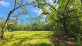 1013 Cupid Avenue - Photo 45