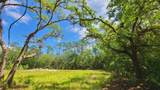1013 Cupid Avenue - Photo 46