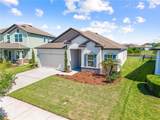 31041 Jazz Leaf Place - Photo 47