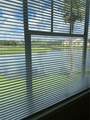 2212 Grand Cayman Court - Photo 23