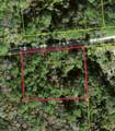 Lot 48 Amelia Trail - Photo 1