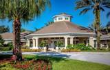 2307 Butterfly Palm Way - Photo 1