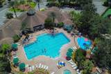 2307 Butterfly Palm Way - Photo 14