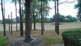 3807 Beacon Ridge Way - Photo 2