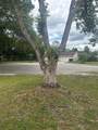 2329 Pine Tree Court - Photo 4