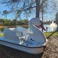14501 Grove Resort Avenue - Photo 42
