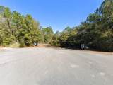  Magnolia Lake Dr - Photo 5