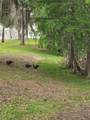 2351 Water View Loop - Photo 23