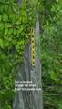 2575 Bear Run - Photo 7