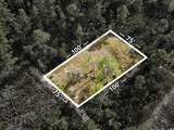 56309 Virginia Street - Photo 2