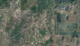  Holopaw Groves Road Lot 22 - Photo 3