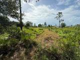 6139 Krazy - Photo 11