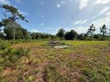 6139 Krazy - Photo 14