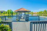 3050 White Orchid Road - Photo 54