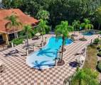3050 White Orchid Road - Photo 62