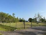 9385 Luna Drive - Photo 1