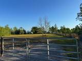 9385 Luna Drive - Photo 2