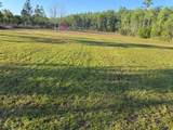 9385 Luna Drive - Photo 3