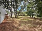 2716 Fast Trot Trail - Photo 9