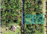  Oleander Drive - Photo 4