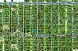  Oleander Drive - Photo 5