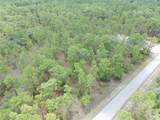  Buena Vista Road - Photo 2