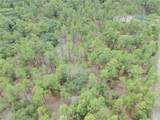  Buena Vista Road - Photo 5