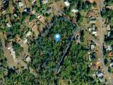  Satsuma Rd - Photo 3
