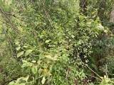  Sweetwater Trail - Photo 1