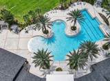 2361 Palm Park Loop - Photo 9