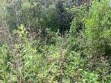  Sweetwater Trail - Photo 1