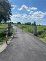 14626 Mcgrady Road - Photo 19