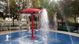 8121 Fan Palm Way - Photo 45