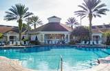 8121 Fan Palm Way - Photo 46