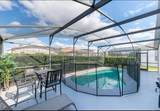 8121 Fan Palm Way - Photo 7